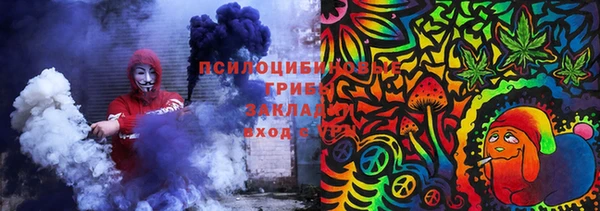 таблы Осинники
