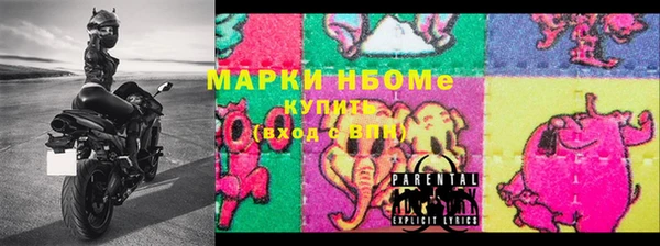 молекула духа Вяземский