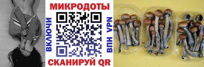купить   Киржач  Галлюциногенные грибы прущие грибы 
