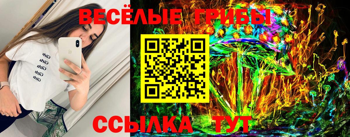 Киржач  Галлюциногенные грибы MAGIC MUSHROOMS  Вход с VPN 